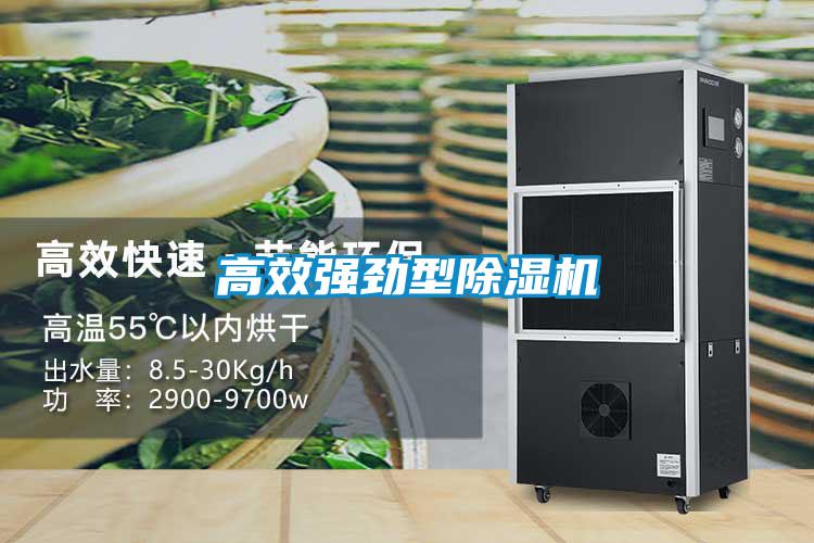 高效強勁型除濕機(jī)