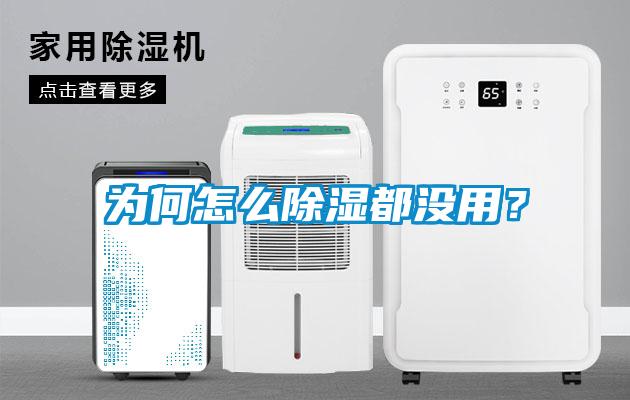 為何怎么除濕都沒用？