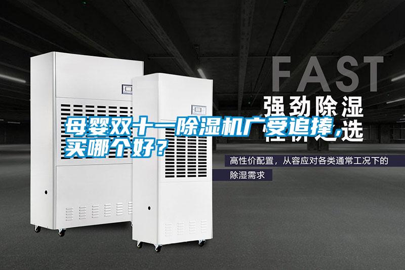 母嬰雙十一除濕機(jī)廣受追捧，買哪個好？