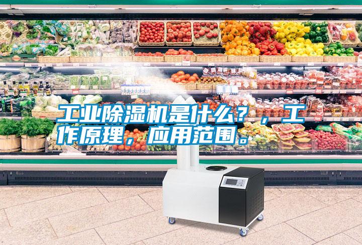 工業(yè)除濕機是什么？，工作原理，應用范圍。