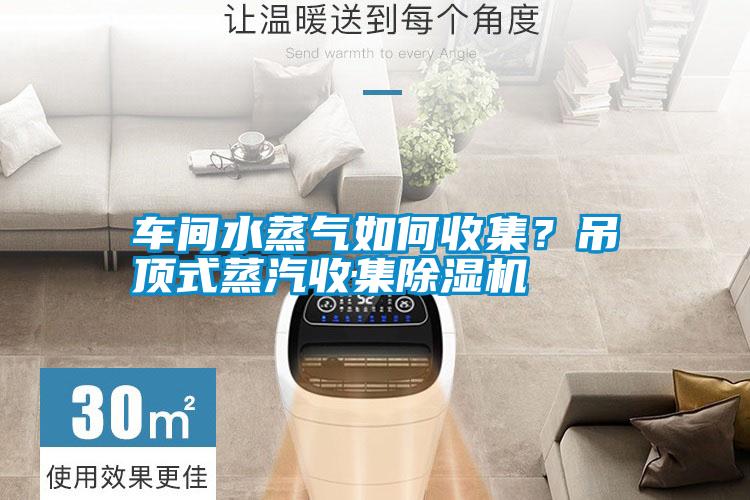車間水蒸氣如何收集？吊頂式蒸汽收集除濕機(jī)