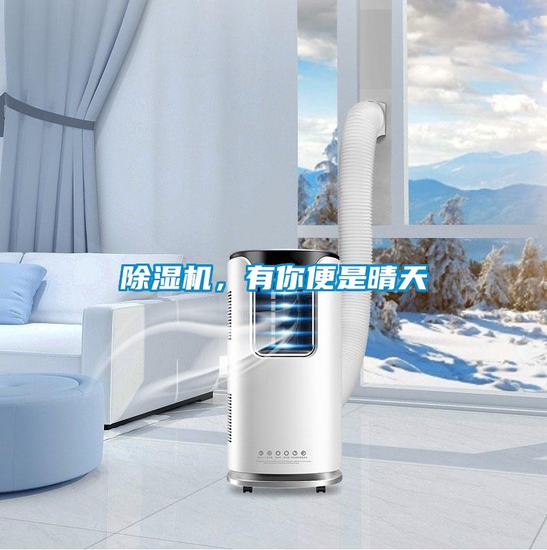 除濕機，有你便是晴天