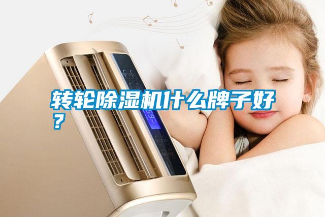 轉(zhuǎn)輪除濕機(jī)什么牌子好？