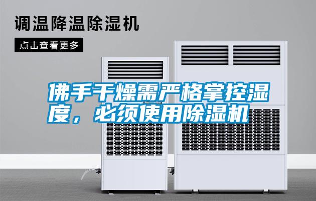 佛手干燥需嚴(yán)格掌控濕度，必須使用除濕機(jī)