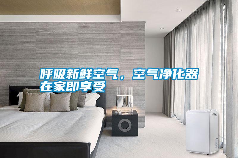 呼吸新鮮空氣，空氣凈化器在家即享受