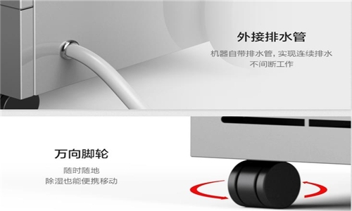 梅雨季節(jié)買(mǎi)什么鮮花比較好保存？