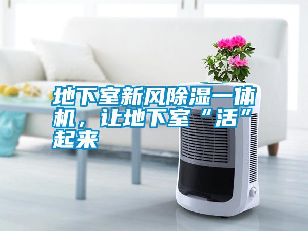 地下室新風(fēng)除濕一體機(jī)，讓地下室“活”起來(lái)