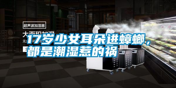 17歲少女耳朵進(jìn)蟑螂，都是潮濕惹的禍