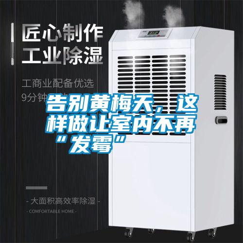 告別黃梅天，這樣做讓室內(nèi)不再“發(fā)霉”