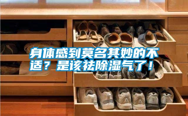 身體感到莫名其妙的不適？是該祛除濕氣了！