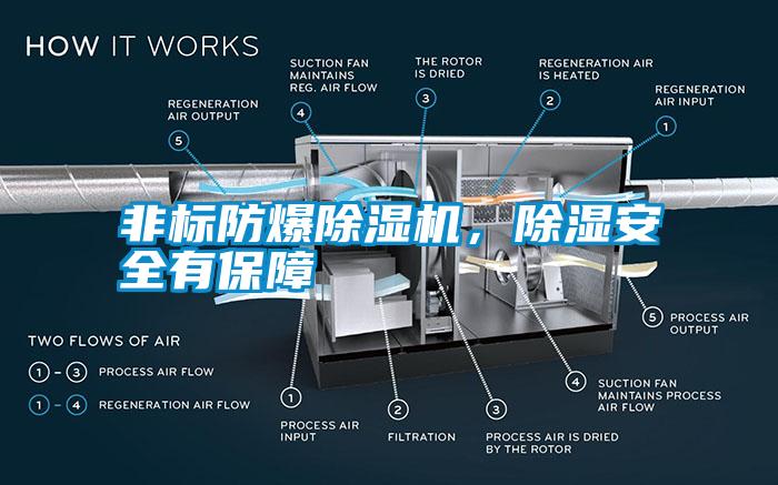非標(biāo)防爆除濕機(jī)，除濕安全有保障