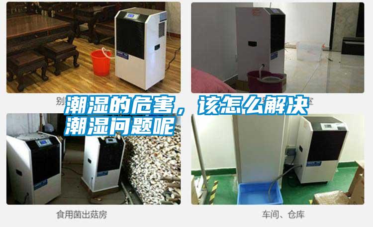潮濕的危害，該怎么解決潮濕問題呢