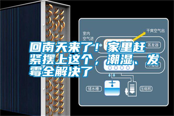 回南天來了！家里趕緊擺上這個(gè)，潮濕、發(fā)霉全解決了