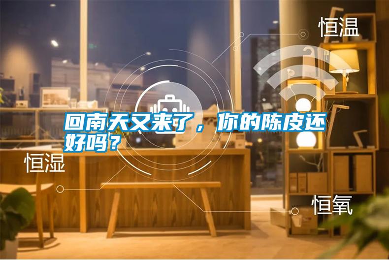 回南天又來(lái)了，你的陳皮還好嗎？