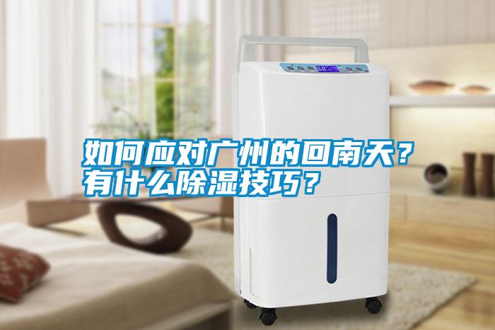如何應(yīng)對廣州的回南天？有什么除濕技巧？