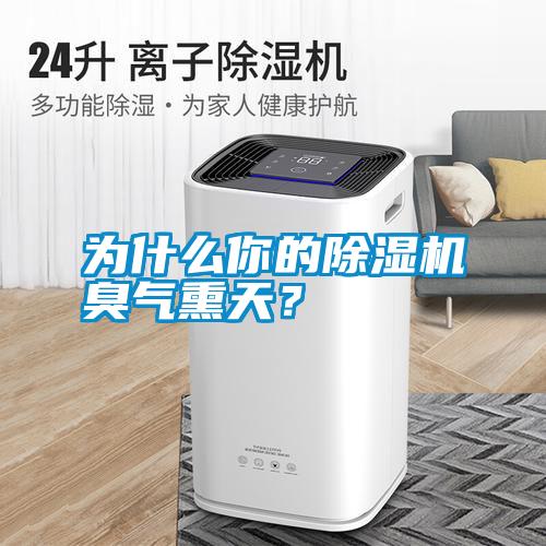 為什么你的除濕機(jī)臭氣熏天？