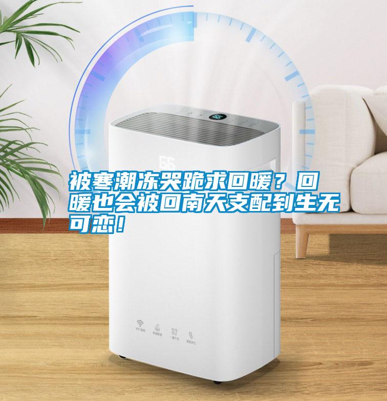 被寒潮凍哭跪求回暖？回暖也會被回南天支配到生無可戀！