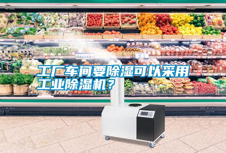 工廠車間要除濕可以采用工業(yè)除濕機(jī)？