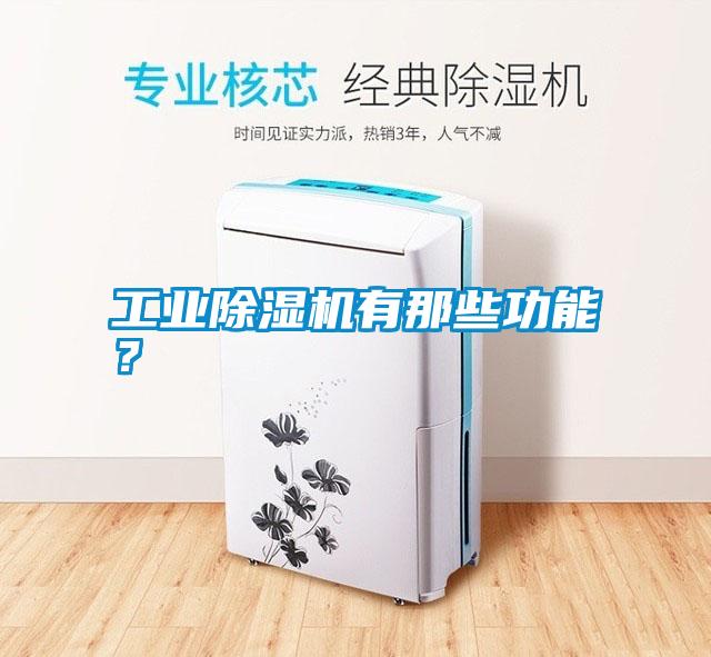 工業(yè)除濕機(jī)有那些功能？