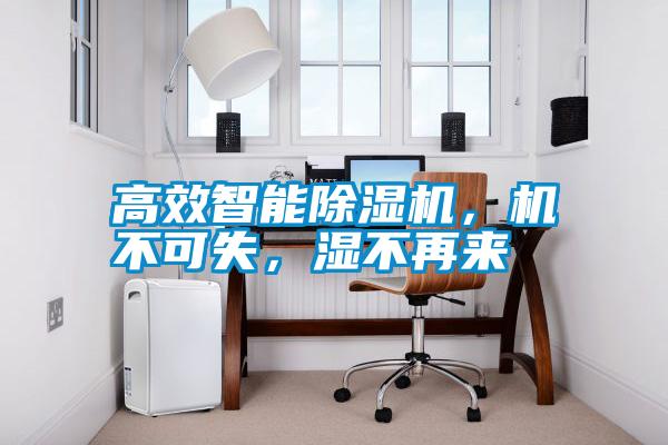 高效智能除濕機(jī)，機(jī)不可失，濕不再來