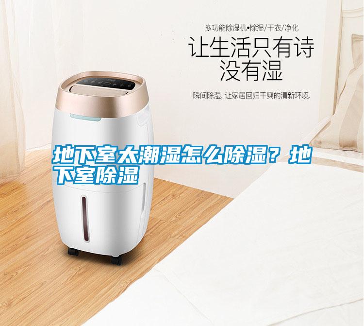地下室太潮濕怎么除濕？地下室除濕