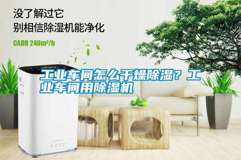 工業(yè)車間怎么干燥除濕？工業(yè)車間用除濕機(jī)