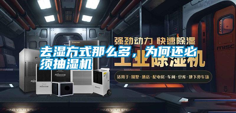 去濕方式那么多，為何還必須抽濕機(jī)