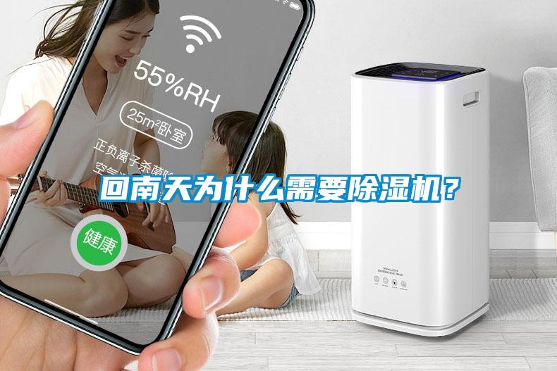 回南天為什么需要除濕機(jī)？