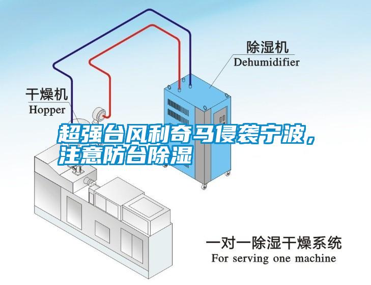 超強(qiáng)臺(tái)風(fēng)利奇馬侵襲寧波，注意防臺(tái)除濕