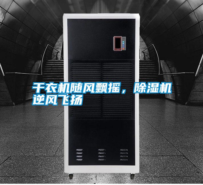 干衣機(jī)隨風(fēng)飄搖，除濕機(jī)逆風(fēng)飛揚(yáng)