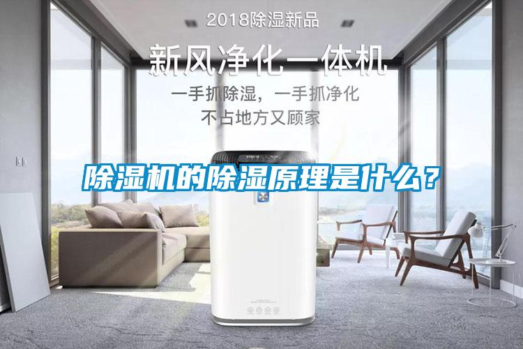 除濕機(jī)的除濕原理是什么？