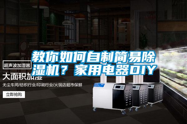 教你如何自制簡易除濕機(jī)？家用電器DIY