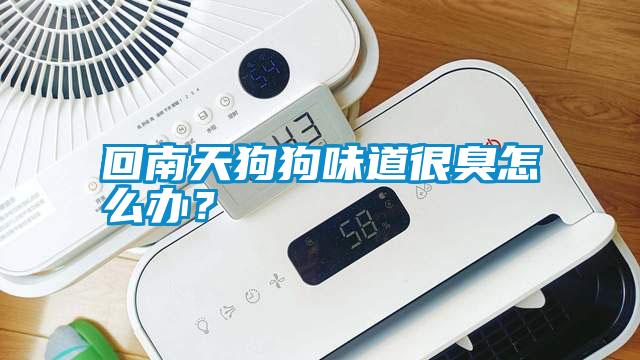 回南天狗狗味道很臭怎么辦？