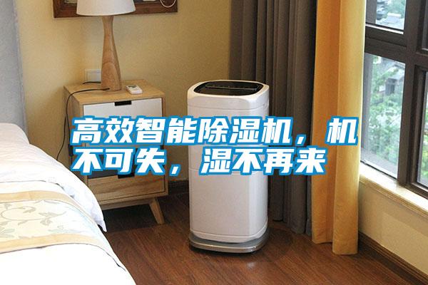 高效智能除濕機，機不可失，濕不再來