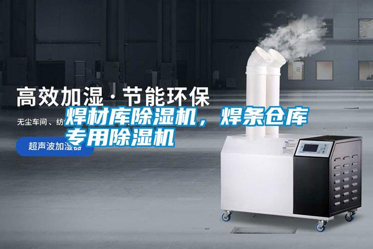 焊材庫除濕機(jī)，焊條倉庫專用除濕機(jī)