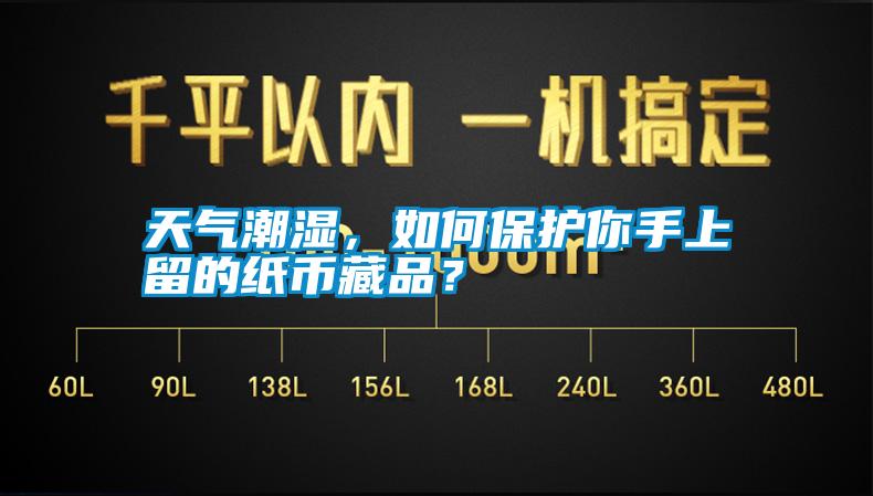 天氣潮濕，如何保護你手上留的紙幣藏品？