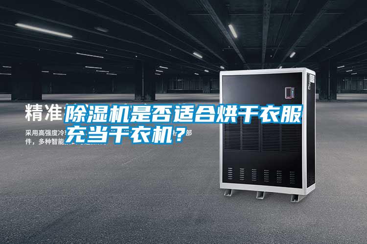 除濕機(jī)是否適合烘干衣服充當(dāng)干衣機(jī)？