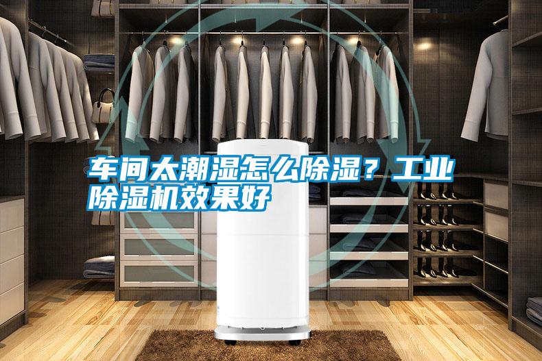 車間太潮濕怎么除濕？工業(yè)除濕機(jī)效果好