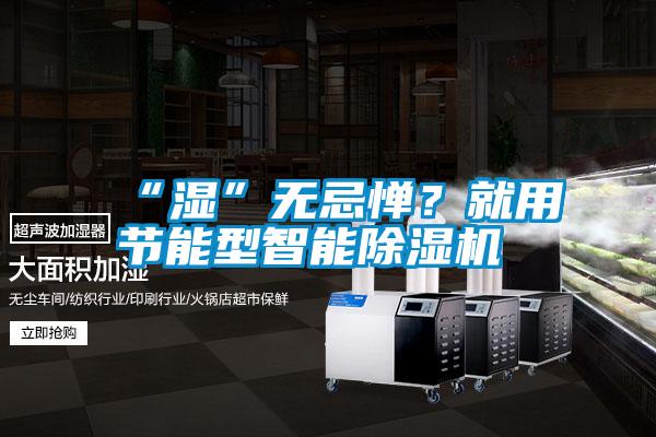 “濕”無忌憚？就用節(jié)能型智能除濕機(jī)