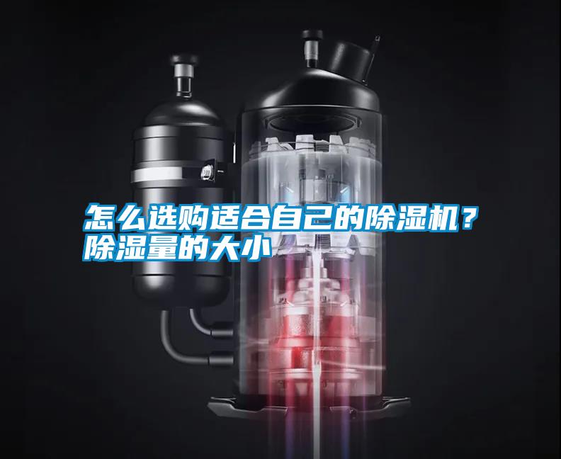 怎么選購適合自己的除濕機？除濕量的大小