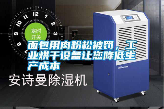 面包用肉粉松被罰，工業(yè)烘干設(shè)備讓您降低生產(chǎn)成本