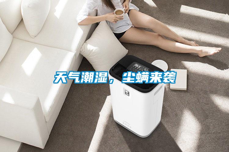 天氣潮濕，塵螨來(lái)襲