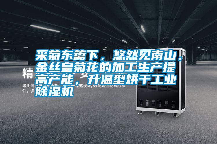采菊東籬下，悠然見南山，金絲皇菊花的加工生產(chǎn)提高產(chǎn)能，升溫型烘干工業(yè)除濕機(jī)
