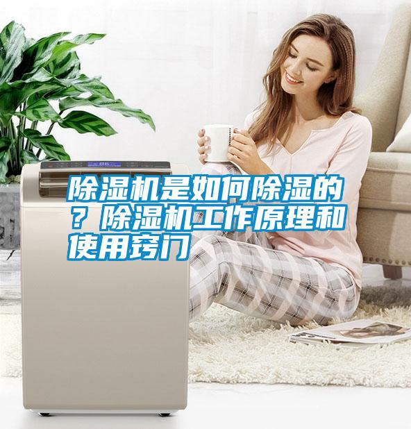 除濕機(jī)是如何除濕的？除濕機(jī)工作原理和使用竅門