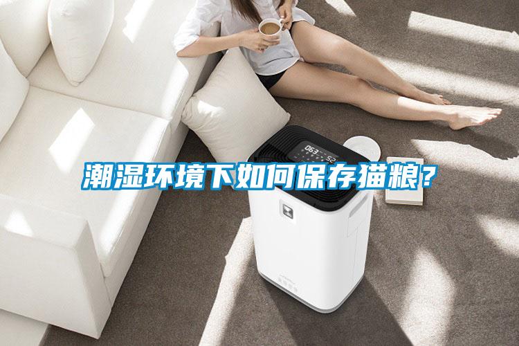 潮濕環(huán)境下如何保存貓糧？