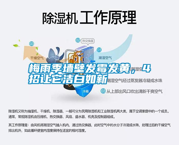 梅雨季墻壁發(fā)霉發(fā)黃，4招讓它潔白如新