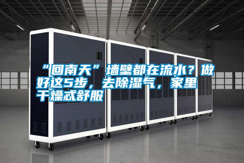 “回南天”墻壁都在流水？做好這5步，去除濕氣，家里干燥忒舒服