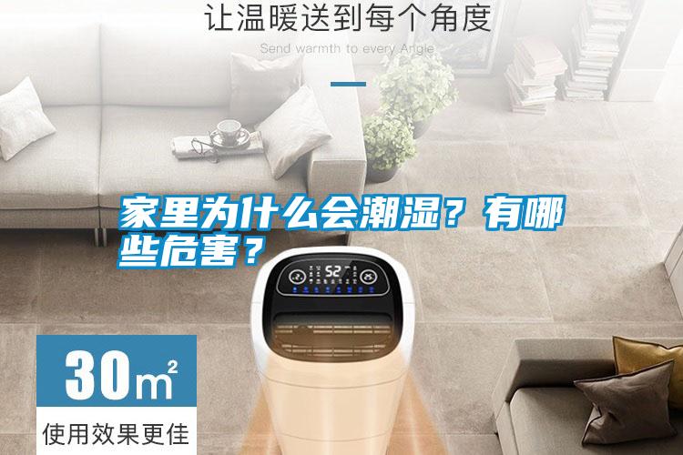家里為什么會(huì)潮濕？有哪些危害？
