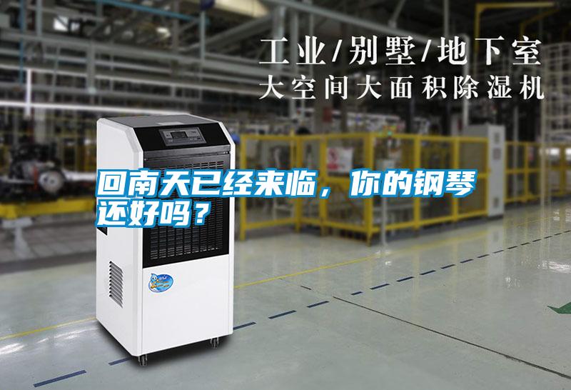 回南天已經(jīng)來臨，你的鋼琴還好嗎？