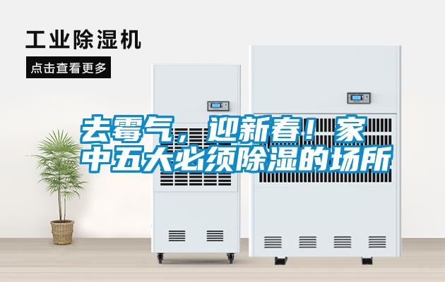 去霉氣，迎新春！家中五大必須除濕的場所